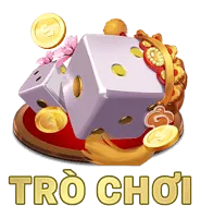 Hình ảnh minh họa người dùng quản lý cài đặt cookie trên trình duyệt