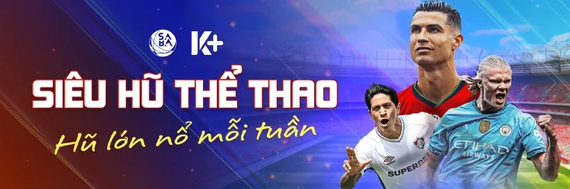 Hệ thống kiểm soát gian lận